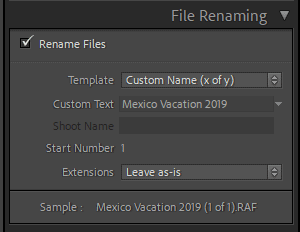 How to Rename Files in Lightroom for Better Image Discovery & Organization 3