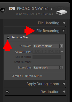 Batch renaming images in the Import Module