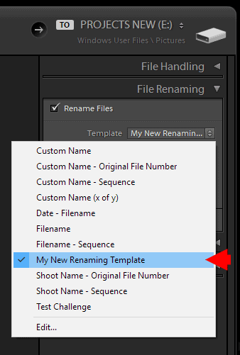How to Rename Files in Lightroom for Better Image Discovery & Organization 12