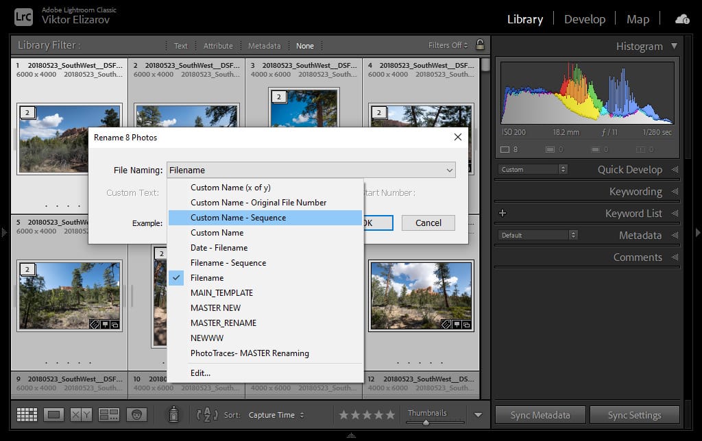 How to Rename Files in Lightroom for Better Image Discovery & Organization 4