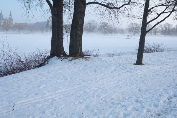 Foggy Winter Morning (Montreal) 4