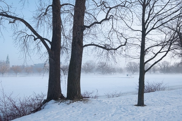 Foggy Winter Morning (Montreal) 6