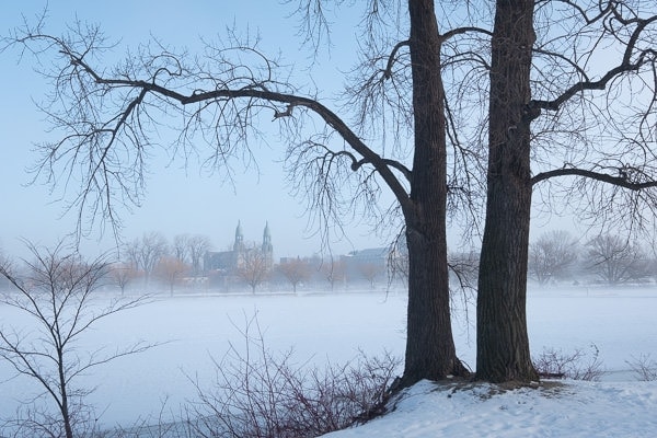 Foggy Winter Morning (Montreal) 5