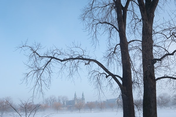 Foggy Winter Morning (Montreal) 7