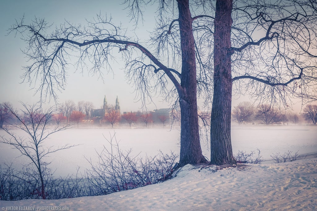 Foggy Winter Morning (Montreal) 1