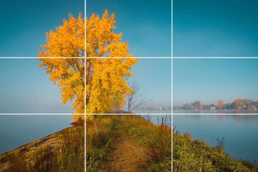 Rule of Thirds in Photography Explained (Examples + Visuals) 5