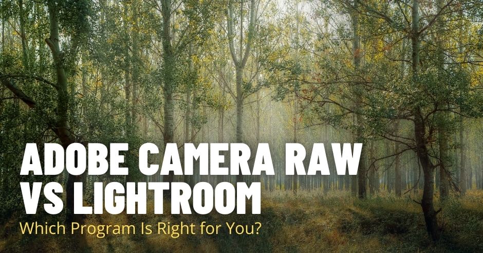 Adobe Camera Raw vs Lightroom