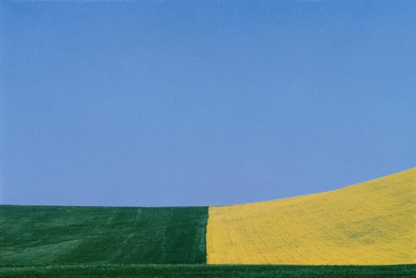 Famous Landscape Photographers: Franco Fontana. Photo 1