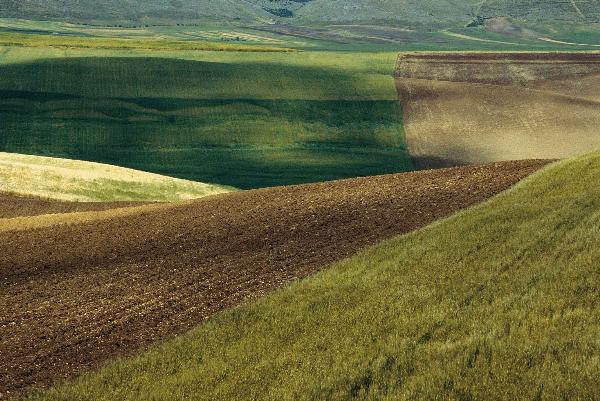 Famous Landscape Photographers: Franco Fontana. Photo 3