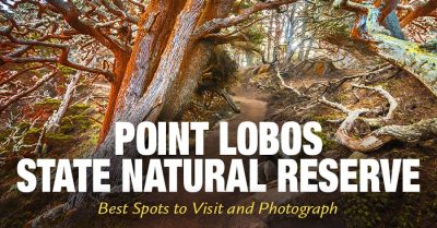 Point Lobos: Places to See and Photograph