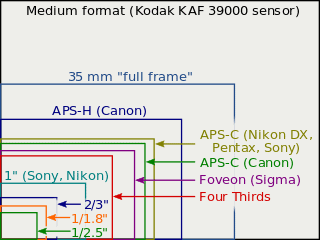 Full Frame vs APS-C Cameras: Comparing different sensor formats