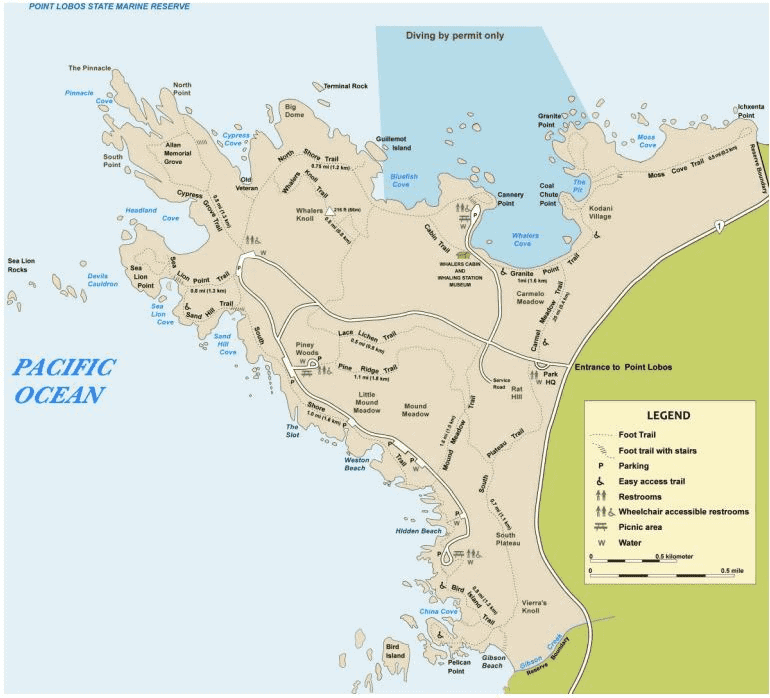 Point Lobos State Natural Reserve: Maps, Weather, Hiking, Wildlife 7