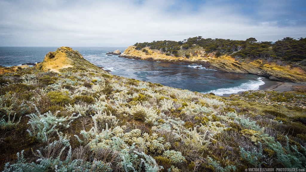 Point Lobos State Natural Reserve: Maps, Weather, Hiking, Wildlife 1