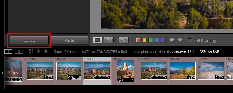 How to Copy and Paste Edits in Lightroom: Copy Button