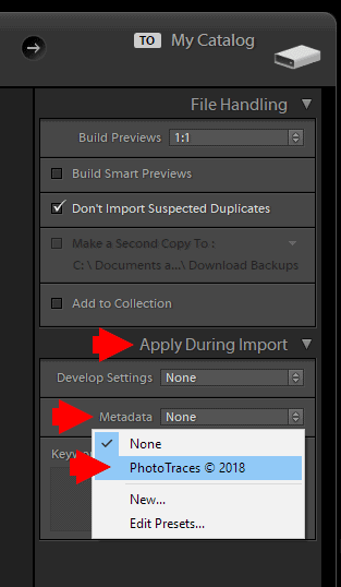 Batch Edit Copyright Information in Import Module of Lightroom