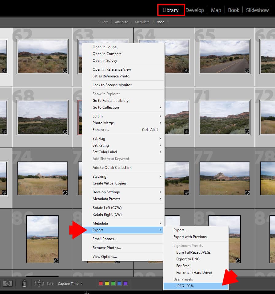 Como converter RAW para JPEG no Lightroom (passo a passo) 8