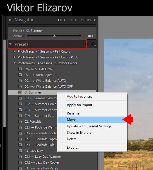 How to Organize Lightroom Presets 9