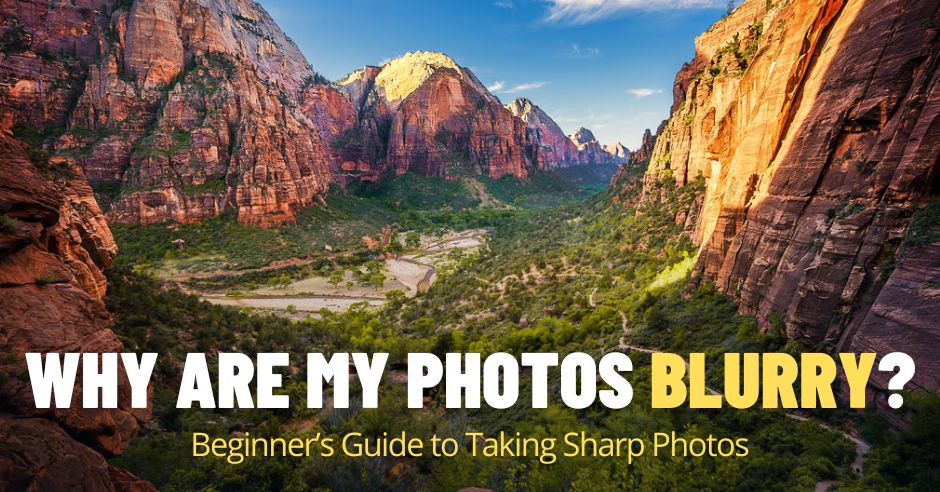 Why Are My Pictures Blurry? Beginner’s Guide to Taking Sharp Photos