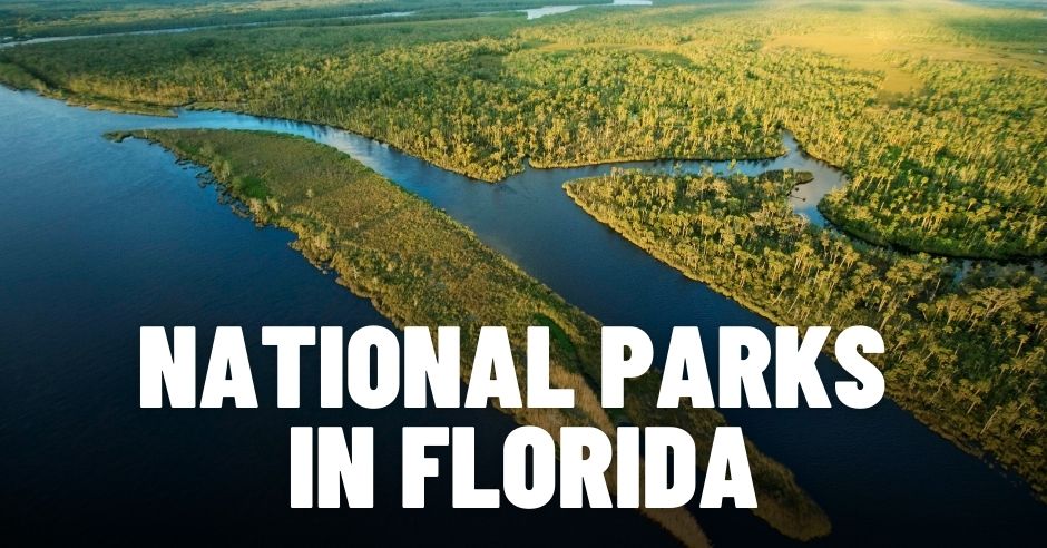 National Parks in Florida: Best National Parks and Monuments